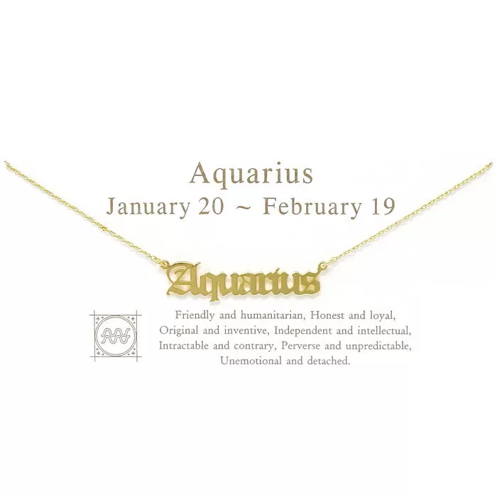 AQUARIUS Zodiac Plate Short Chain Necklace