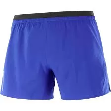 Men's Salomon CROSS 5" Shorts Surf The Web