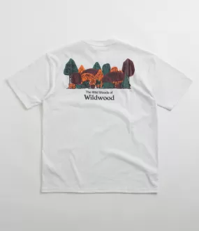 Nike ACG Wildwood T-Shirt - Summit White