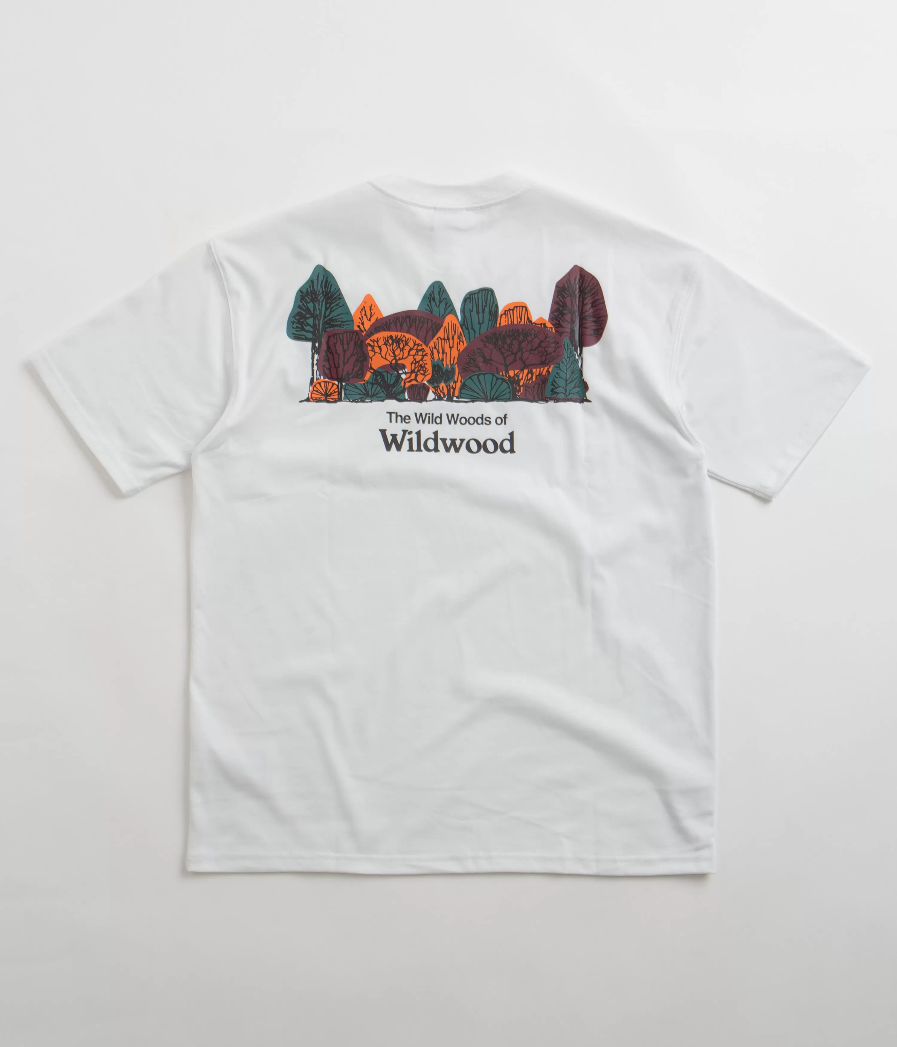 Nike ACG Wildwood T-Shirt - Summit White