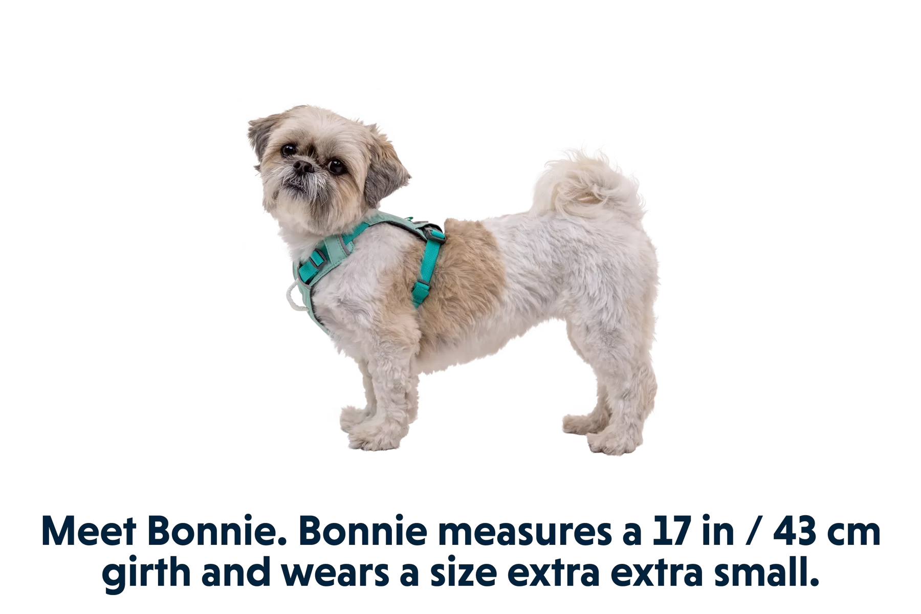 RP - Hi & Light™ Lightweight Dog Harness