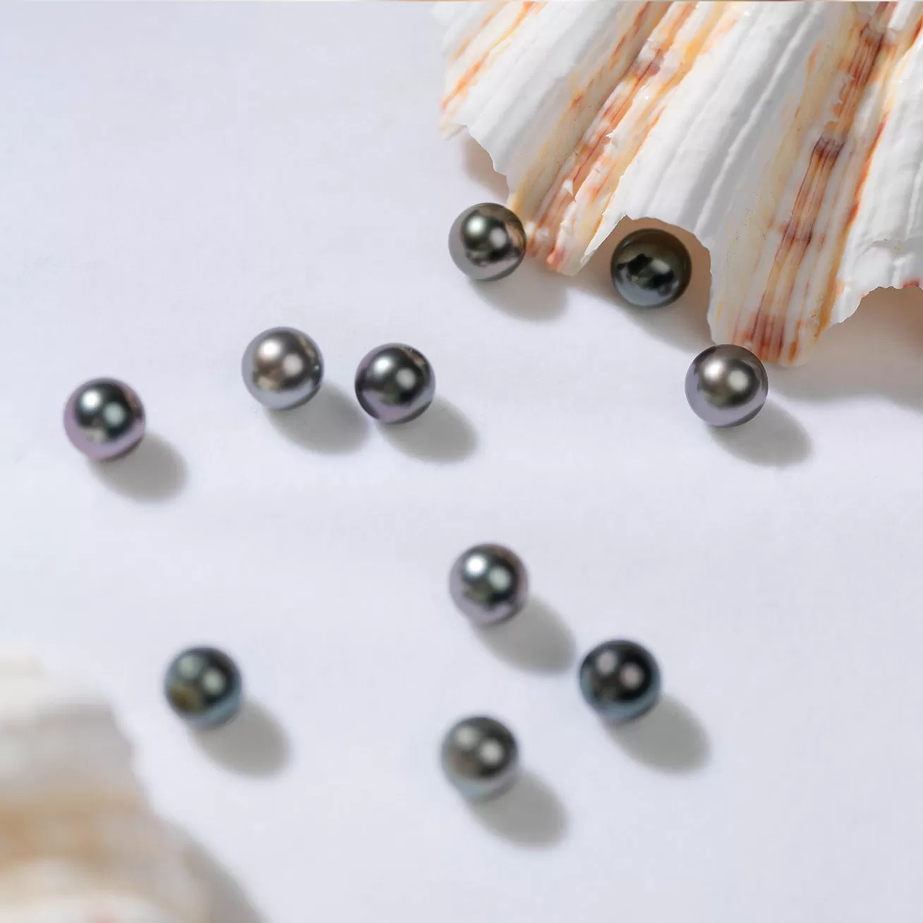 Second Grade Round Tahitian Pearls WA00022