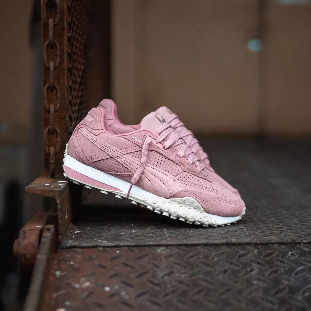 Women Puma Blacktop Rider (Future Pink/Alpine Snow)